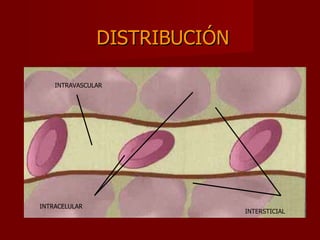 DISTRIBUCIÓN INTERSTICIAL INTRACELULAR INTRAVASCULAR 