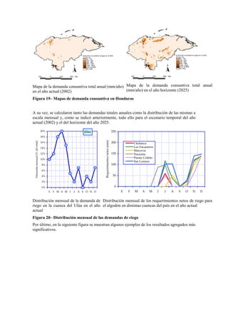 Mapa de la demanda consuntiva total anual (mm/año)
en el año actual (2002)
Mapa de la demanda consuntiva total anual
(mm/año) en el año horizonte (2025)
Figura 19– Mapas de demanda consuntiva en Honduras
A su vez, se calcularon tanto las demandas totales anuales como la distribución de las mismas a
escala mensual y, como se indicó anteriormente, todo ello para el escenario temporal del año
actual (2002) y el del horizonte del año 2025.
Ulúa
0%
2%
4%
6%
8%
10%
12%
14%
16%
18%
20%
E F M A M J J A S O N D
Demandamensual(%deltotal)
Distribución mensual de la demanda de
riego en la cuenca del Ulúa en el año
actual
0
50
100
150
200
250
E F M A M J J A S O N D
Requerimientosnetos(mm)
Choluteca
Los Encuentros
Marcovia
Nacaome
Puente Cedeño
San Lorenzo
Distribución mensual de los requerimientos netos de riego para
el algodón en distintas cuencas del país en el año actual
Figura 20– Distribución mensual de las demandas de riego
Por último, en la siguiente figura se muestran algunos ejemplos de los resultados agregados más
significativos.
 