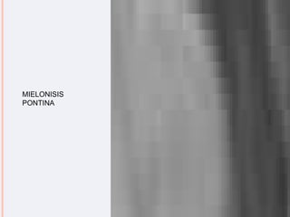 MIELONISIS PONTINA 