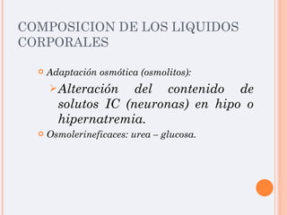 COMPOSICION DE LOS LIQUIDOS CORPORALES Adaptación osmótica (osmolitos): Alteración del contenido de solutos IC (neuronas) en hipo o hipernatremia. Osmolerineficaces: urea – glucosa. 