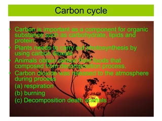 Carbon cycle Carbon is important as a component for organic substance such as carbohydrate, lipids and protein. Plants needs to carry out photosynthesis by using carbon dioxide. Animals obtain carbon from foods that composed from decomposition process. Carbon dioxide was released to the atmosphere during process  (a) respiration  (b) burning (c) Decomposition death animals 