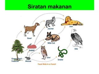 Siratan makanan 