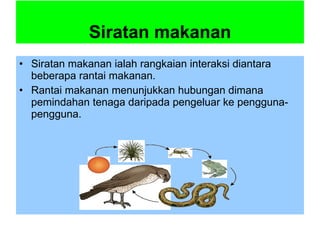 Siratan makanan ialah rangkaian interaksi diantara beberapa rantai makanan. Rantai makanan menunjukkan hubungan dimana pemindahan tenaga daripada pengeluar ke pengguna-pengguna. Siratan makanan 