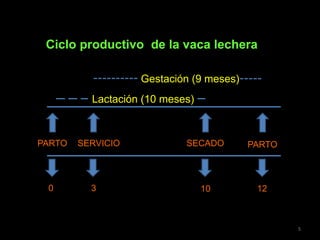 PARTO SERVICIO SECADO PARTO
0 3 10 12
Lactación (10 meses)
Gestación (9 meses)
5
Ciclo productivo de la vaca lechera
 