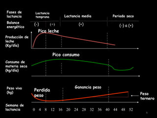 Perdida
peso
6
0 4 8 12 16 20 24 28 32 36 40 44 48 52
Lactancia
temprana Lactancia media Periodo seco
Semana de
lactancia
Producción de
leche
(Kg/día)
Consumo de
materia seca
(kg/día)
Peso vivo
(kg)
Fases de
lactancia
Balance
energético
(-) (+) (+) (-) a (+)
Pico consumo
Pico leche
Ganancia peso
Peso
ternero
 