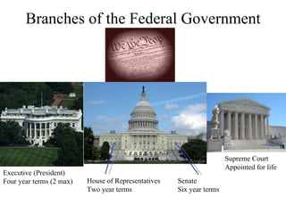 Branches of the Federal Government House of Representatives Two year terms Senate Six year terms Executive (President) Four year terms (2 max) Supreme Court Appointed for life 