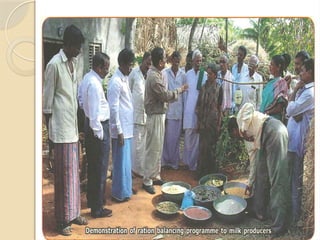 balance ration in Animal nutrition ashok patil.pptx