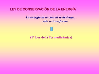 LEY DE CONSERVACIÓN DE LA ENERGÍA
La energía ni se crea ni se destruye,
sólo se transforma.
(1a Ley de la Termodinámica)
 