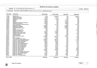 Balances de sumas y saldos contabilidad 2013