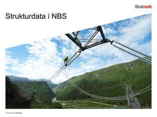 Strukturdata i NBS
Fremtiden er elektrisk
 