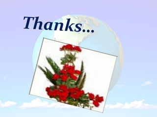 Balance sheet &amp; income statement