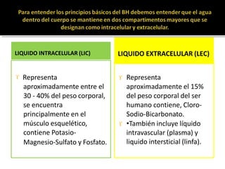 LIQUIDO INTRACELULAR (LIC)
 Representa
aproximadamente entre el
30 - 40% del peso corporal,
se encuentra
principalmente en el
músculo esquelético,
contiene Potasio-
Magnesio-Sulfato y Fosfato.
LIQUIDO EXTRACELULAR (LEC)
 Representa
aproximadamente el 15%
del peso corporal del ser
humano contiene, Cloro-
Sodio-Bicarbonato.
 •También incluye líquido
intravascular (plasma) y
liquido intersticial (linfa).
 