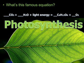 • What’s this famous equation?
___CO2 + ___H2O + light energy = __C6H12O6 + __O2
 