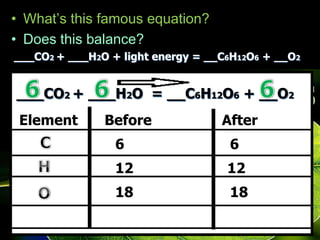 • What’s this famous equation?
• Does this balance?
___CO2 + ___H2O + light energy = __C6H12O6 + __O2
___CO2 + ___H2O = __C6H12O6 + __O2
Element Before After
6 6
12 12
18 18
 