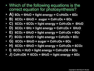 • Which of the following equations is the
correct equation for photosynthesis?
• A) 6O2 + 6H2O + light energy = C12H6O6 + 6O2
• B) 6CO2 + 6H2O + sugar = C6H12O6 + 6O2
• C) 6CO2 + 6CO2 + light energy = C6H12O6 + 6H2O
• D) 6CO2 + 6H2 + light energy = C6H12O6 + 6H2O
• E) 6CO2 + 6H2O + light energy = C6H12O6 + 6O2
• F) 6CO2 + 6H2O + light energy = C6H2O6 + 6O2
• G) 6CO2 + 6H2O + sugar = C6H12O6 + 6O2
• H) 6CO2 + 6H2O + light energy = C6H12O6 + 6CO2
• I) 6CO2 + H2O + light energy = C6H12O6 + 6O2
• J) C6H12O6 = 6CO2 + 6H2O + light energy + 6O2
Copyright © 2010 Ryan P. Murphy
 