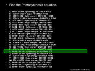 • Find the Photosynthesis equation.
• A) 6O2 + 6H2O + light energy = C12H6O6 + 6O2
• B) 6CO2 + 6H2O + sugar = C6H12O6 + 6O2
• C) 6CO2 + 6O2 + light energy = C6H12O6 + 6H2O
• D) 6CO2 + 12H2O + light energy = C6H12O6 + 6H2O
• E) 6O2 + 6H2O + light energy = C12H6O6 + 6O2
• F) 6CO2 + 6H2O + light energy = C6H2O6 + 6O2
• G) 6CO2 + 6H2 + light energy = C6H12O6 + 6O2
• H) 6CO2 + 6H2O + light energy = C6H12O6 + 6O6
• I) 6CO2 + 6H6O + light energy = C6H12O6 + 6O2
• J) 6CO2 + 6H2O + light energy = CH12O6 + 6CO2
• K) CO2 + 6H2O2 + light energy = CH12O6 + 6O2
• L) 6CO2 + 6H2O + no energy = C6H12O6 + 6O2
• M) 6O2 + 6H2O + light energy = C12H6O6 + 6O2
• N) 6CO2 + 6H2O + sugar = C6H12O6 + 6O2
• O) 6CO2 + 6O2 + light energy = C6H12O6 + 6H2O
• P) 6CO2 + 12H2O + light energy = C6H12O6 + 6H2O
• Q) 6O2 + 6H2O + light energy = C12H6O6 + 6O2
• R) 6CO2 + 6H2O + light energy = C6H2O6 + 6O2
• S) 6CO2 + 6H2O + light energy = C6H12O6 + 6O2
• T) 6CO2 + 6H2O + light energy = C6H12O6 + 6O6
• U) 6CO2 + 6H6O + light energy = C6H12O6 + 6O2
• V) 6CO2 + 6H2O + light energy = CH12O6 + 6CO2
• W) CO2 + 6H2O2 + light energy = CH12O6 + 6O2
• X) 6CO2 + 6H2O + no energy = C6H12O6 + 6O2
• Y) 6CO2 + 6H2 + light energy = C6H12O6 + 6O2
• Z) 6CO2 + 6H2O + light energy = C6H12O6 + 6O6
Copyright © 2010 Ryan P. Murphy
 