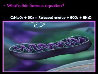 • What’s this famous equation?
___C6H12O6 + 6O2 = Released energy + 6CO2 + 6H2O.
 