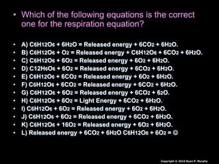 • Which of the following equations is the correct
one for the respiration equation?
• A) C6H12O6 + 6H2O = Released energy + 6CO2 + 6H2O.
• B) C6H12O6 + O2 = Released energy + C6H12O6 + 6CO2 + 6H2O.
• C) C6H12O6 + 6O2 = Released energy + 6O2 + 6H2O.
• D) C12H6O6 + 6O2 = Released energy + 6CO2 + 6H2O.
• E) C6H12O6 + 6CO2 = Released energy + 6O2 + 6H2O.
• F) C6H12O6 + 6CO2 = Released energy + 6CO2 + 6H2O.
• G) C6H12O6 + 6O2 = Released energy + 6CO2 + 62O.
• H) C6H12O6 + 6O2 = Light Energy + 6CO2 + 6H2O.
• I) C6H12O6 + 6O2 = Released energy + 6O2 + 6H2O.
• J) C6H12O6 + 6O2 = Released energy + 6CO2 + 6H2O.
• K) C6H12O6 + 16O2 = Released energy + 6O2 + 6H2O.
• L) Released energy + 6CO2 + 6H2O C6H12O6 + 6O2 = 
Copyright © 2010 Ryan P. Murphy
 