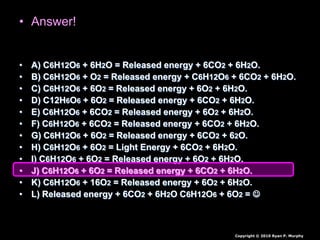 • Answer! Which of the following equations is the
correct one for the respiration equation?
• A) C6H12O6 + 6H2O = Released energy + 6CO2 + 6H2O.
• B) C6H12O6 + O2 = Released energy + C6H12O6 + 6CO2 + 6H2O.
• C) C6H12O6 + 6O2 = Released energy + 6O2 + 6H2O.
• D) C12H6O6 + 6O2 = Released energy + 6CO2 + 6H2O.
• E) C6H12O6 + 6CO2 = Released energy + 6O2 + 6H2O.
• F) C6H12O6 + 6CO2 = Released energy + 6CO2 + 6H2O.
• G) C6H12O6 + 6O2 = Released energy + 6CO2 + 62O.
• H) C6H12O6 + 6O2 = Light Energy + 6CO2 + 6H2O.
• I) C6H12O6 + 6O2 = Released energy + 6O2 + 6H2O.
• J) C6H12O6 + 6O2 = Released energy + 6CO2 + 6H2O.
• K) C6H12O6 + 16O2 = Released energy + 6O2 + 6H2O.
• L) Released energy + 6CO2 + 6H2O C6H12O6 + 6O2 = 
Copyright © 2010 Ryan P. Murphy
 