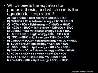 • Which one is the equation for
photosynthesis, and which one is the
equation for respiration?
• A) 6O2 + 6H2O + light energy = C12H6O6 + 6O2
• B) C6H12O6 + O2 = Released energy + 6CO2 + 6H2O.
• C) 6CO2 + 6O2 + light energy = C6H12O6 + 6H2O
• D) 6CO2 + 12H2O + light energy = C6H12O6 + 6H2O
• E) C6H12O6 + 6O2 = Released energy + 6O2 + H2O.
• F) 6CO2 + 6H2O + light energy = C6H12O6 + 6O2
• G) 6CO2 + 6H2O + light energy = C6H12O6 + 6CO2
• H) C6H12O6 + 6CO2 = Released energy + 6CO2 + 6H2O.
• I) 6CO2 + 6H6O + light energy = C6H12O6 + 6O2
• J) 6CO2 + 6H2O + light energy = CH12O6 + 6CO2
• K) C6H12O6 + 6O2 = Released energy + 6CO2 + 6H2O.
• L) 6CO2 + 6H2O + no energy = C6H12O6 + 6O2
• M) 6O2 + 6H2O + light energy = C12H6O6 + 6O2
• N.) C6H12O6 + 6O2 = light energy + 6CO2 + 6H2O.
Copyright © 2010 Ryan P. Murphy
 