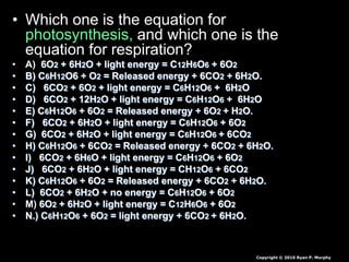 • Which one is the equation for
photosynthesis, and which one is the
equation for respiration?
• A) 6O2 + 6H2O + light energy = C12H6O6 + 6O2
• B) C6H12O6 + O2 = Released energy + 6CO2 + 6H2O.
• C) 6CO2 + 6O2 + light energy = C6H12O6 + 6H2O
• D) 6CO2 + 12H2O + light energy = C6H12O6 + 6H2O
• E) C6H12O6 + 6O2 = Released energy + 6O2 + H2O.
• F) 6CO2 + 6H2O + light energy = C6H12O6 + 6O2
• G) 6CO2 + 6H2O + light energy = C6H12O6 + 6CO2
• H) C6H12O6 + 6CO2 = Released energy + 6CO2 + 6H2O.
• I) 6CO2 + 6H6O + light energy = C6H12O6 + 6O2
• J) 6CO2 + 6H2O + light energy = CH12O6 + 6CO2
• K) C6H12O6 + 6O2 = Released energy + 6CO2 + 6H2O.
• L) 6CO2 + 6H2O + no energy = C6H12O6 + 6O2
• M) 6O2 + 6H2O + light energy = C12H6O6 + 6O2
• N.) C6H12O6 + 6O2 = light energy + 6CO2 + 6H2O.
Copyright © 2010 Ryan P. Murphy
 