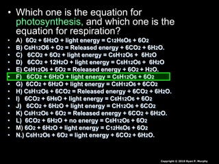 • Which one is the equation for
photosynthesis, and which one is the
equation for respiration?
• A) 6O2 + 6H2O + light energy = C12H6O6 + 6O2
• B) C6H12O6 + O2 = Released energy + 6CO2 + 6H2O.
• C) 6CO2 + 6O2 + light energy = C6H12O6 + 6H2O
• D) 6CO2 + 12H2O + light energy = C6H12O6 + 6H2O
• E) C6H12O6 + 6O2 = Released energy + 6O2 + H2O.
• F) 6CO2 + 6H2O + light energy = C6H12O6 + 6O2
• G) 6CO2 + 6H2O + light energy = C6H12O6 + 6CO2
• H) C6H12O6 + 6CO2 = Released energy + 6CO2 + 6H2O.
• I) 6CO2 + 6H6O + light energy = C6H12O6 + 6O2
• J) 6CO2 + 6H2O + light energy = CH12O6 + 6CO2
• K) C6H12O6 + 6O2 = Released energy + 6CO2 + 6H2O.
• L) 6CO2 + 6H2O + no energy = C6H12O6 + 6O2
• M) 6O2 + 6H2O + light energy = C12H6O6 + 6O2
• N.) C6H12O6 + 6O2 = light energy + 6CO2 + 6H2O.
Copyright © 2010 Ryan P. Murphy
 