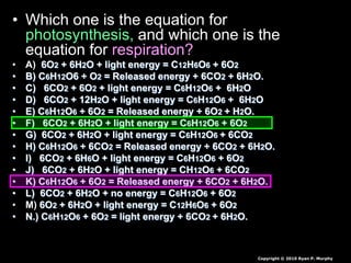 • Which one is the equation for
photosynthesis, and which one is the
equation for respiration?
• A) 6O2 + 6H2O + light energy = C12H6O6 + 6O2
• B) C6H12O6 + O2 = Released energy + 6CO2 + 6H2O.
• C) 6CO2 + 6O2 + light energy = C6H12O6 + 6H2O
• D) 6CO2 + 12H2O + light energy = C6H12O6 + 6H2O
• E) C6H12O6 + 6O2 = Released energy + 6O2 + H2O.
• F) 6CO2 + 6H2O + light energy = C6H12O6 + 6O2
• G) 6CO2 + 6H2O + light energy = C6H12O6 + 6CO2
• H) C6H12O6 + 6CO2 = Released energy + 6CO2 + 6H2O.
• I) 6CO2 + 6H6O + light energy = C6H12O6 + 6O2
• J) 6CO2 + 6H2O + light energy = CH12O6 + 6CO2
• K) C6H12O6 + 6O2 = Released energy + 6CO2 + 6H2O.
• L) 6CO2 + 6H2O + no energy = C6H12O6 + 6O2
• M) 6O2 + 6H2O + light energy = C12H6O6 + 6O2
• N.) C6H12O6 + 6O2 = light energy + 6CO2 + 6H2O.
Copyright © 2010 Ryan P. Murphy
 