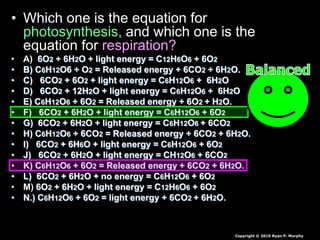 • Which one is the equation for
photosynthesis, and which one is the
equation for respiration?
• A) 6O2 + 6H2O + light energy = C12H6O6 + 6O2
• B) C6H12O6 + O2 = Released energy + 6CO2 + 6H2O.
• C) 6CO2 + 6O2 + light energy = C6H12O6 + 6H2O
• D) 6CO2 + 12H2O + light energy = C6H12O6 + 6H2O
• E) C6H12O6 + 6O2 = Released energy + 6O2 + H2O.
• F) 6CO2 + 6H2O + light energy = C6H12O6 + 6O2
• G) 6CO2 + 6H2O + light energy = C6H12O6 + 6CO2
• H) C6H12O6 + 6CO2 = Released energy + 6CO2 + 6H2O.
• I) 6CO2 + 6H6O + light energy = C6H12O6 + 6O2
• J) 6CO2 + 6H2O + light energy = CH12O6 + 6CO2
• K) C6H12O6 + 6O2 = Released energy + 6CO2 + 6H2O.
• L) 6CO2 + 6H2O + no energy = C6H12O6 + 6O2
• M) 6O2 + 6H2O + light energy = C12H6O6 + 6O2
• N.) C6H12O6 + 6O2 = light energy + 6CO2 + 6H2O.
Copyright © 2010 Ryan P. Murphy
 