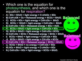 • Which one is the equation for
photosynthesis, and which one is the
equation for respiration?
• A) 6O2 + 6H2O + light energy = C12H6O6 + 6O2
• B) C6H12O6 + O2 = Released energy + 6CO2 + 6H2O.
• C) 6CO2 + 6O2 + light energy = C6H12O6 + 6H2O
• D) 6CO2 + 12H2O + light energy = C6H12O6 + 6H2O
• E) C6H12O6 + 6O2 = Released energy + 6O2 + H2O.
• F) 6CO2 + 6H2O + light energy = C6H12O6 + 6O2
• G) 6CO2 + 6H2O + light energy = C6H12O6 + 6CO2
• H) C6H12O6 + 6CO2 = Released energy + 6CO2 + 6H2O.
• I) 6CO2 + 6H6O + light energy = C6H12O6 + 6O2
• J) 6CO2 + 6H2O + light energy = CH12O6 + 6CO2
• K) C6H12O6 + 6O2 = Released energy + 6CO2 + 6H2O.
• L) 6CO2 + 6H2O + no energy = C6H12O6 + 6O2
• M) 6O2 + 6H2O + light energy = C12H6O6 + 6O2
• N.) C6H12O6 + 6O2 = light energy + 6CO2 + 6H2O.
Copyright © 2010 Ryan P. Murphy
 