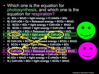• Which one is the equation for
photosynthesis, and which one is the
equation for respiration?
• A) 6O2 + 6H2O + light energy = C12H6O6 + 6O2
• B) C6H12O6 + O2 = Released energy + 6CO2 + 6H2O.
• C) 6CO2 + 6O2 + light energy = C6H12O6 + 6H2O
• D) 6CO2 + 12H2O + light energy = C6H12O6 + 6H2O
• E) C6H12O6 + 6O2 = Released energy + 6O2 + H2O.
• F) 6CO2 + 6H2O + light energy = C6H12O6 + 6O2
• G) 6CO2 + 6H2O + light energy = C6H12O6 + 6CO2
• H) C6H12O6 + 6CO2 = Released energy + 6CO2 + 6H2O.
• I) 6CO2 + 6H6O + light energy = C6H12O6 + 6O2
• J) 6CO2 + 6H2O + light energy = CH12O6 + 6CO2
• K) C6H12O6 + 6O2 = Released energy + 6CO2 + 6H2O.
• L) 6CO2 + 6H2O + no energy = C6H12O6 + 6O2
• M) 6O2 + 6H2O + light energy = C12H6O6 + 6O2
• N.) C6H12O6 + 6O2 = light energy + 6CO2 + 6H2O.
Copyright © 2010 Ryan P. Murphy
 
