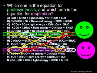 • Which one is the equation for
photosynthesis, and which one is the
equation for respiration?
• A) 6O2 + 6H2O + light energy = C12H6O6 + 6O2
• B) C6H12O6 + O2 = Released energy + 6CO2 + 6H2O.
• C) 6CO2 + 6O2 + light energy = C6H12O6 + 6H2O
• D) 6CO2 + 12H2O + light energy = C6H12O6 + 6H2O
• E) C6H12O6 + 6O2 = Released energy + 6O2 + H2O.
• F) 6CO2 + 6H2O + light energy = C6H12O6 + 6O2
• G) 6CO2 + 6H2O + light energy = C6H12O6 + 6CO2
• H) C6H12O6 + 6CO2 = Released energy + 6CO2 + 6H2O.
• I) 6CO2 + 6H6O + light energy = C6H12O6 + 6O2
• J) 6CO2 + 6H2O + light energy = CH12O6 + 6CO2
• K) C6H12O6 + 6O2 = Released energy + 6CO2 + 6H2O.
• L) 6CO2 + 6H2O + no energy = C6H12O6 + 6O2
• M) 6O2 + 6H2O + light energy = C12H6O6 + 6O2
• N.) C6H12O6 + 6O2 = light energy + 6CO2 + 6H2O.
Copyright © 2010 Ryan P. Murphy
 