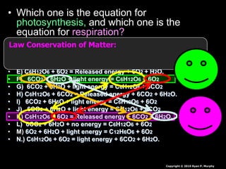 • Which one is the equation for
photosynthesis, and which one is the
equation for respiration?
• A) 6O2 + 6H2O + light energy = C12H6O6 + 6O2
• B) C6H12O6 + O2 = Released energy + 6CO2 + 6H2O.
• C) 6CO2 + 6O2 + light energy = C6H12O6 + 6H2O
• D) 6CO2 + 12H2O + light energy = C6H12O6 + 6H2O
• E) C6H12O6 + 6O2 = Released energy + 6O2 + H2O.
• F) 6CO2 + 6H2O + light energy = C6H12O6 + 6O2
• G) 6CO2 + 6H2O + light energy = C6H12O6 + 6CO2
• H) C6H12O6 + 6CO2 = Released energy + 6CO2 + 6H2O.
• I) 6CO2 + 6H6O + light energy = C6H12O6 + 6O2
• J) 6CO2 + 6H2O + light energy = CH12O6 + 6CO2
• K) C6H12O6 + 6O2 = Released energy + 6CO2 + 6H2O.
• L) 6CO2 + 6H2O + no energy = C6H12O6 + 6O2
• M) 6O2 + 6H2O + light energy = C12H6O6 + 6O2
• N.) C6H12O6 + 6O2 = light energy + 6CO2 + 6H2O.
Copyright © 2010 Ryan P. Murphy
Law Conservation of Matter:
 