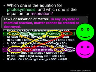 • Which one is the equation for
photosynthesis, and which one is the
equation for respiration?
• A) 6O2 + 6H2O + light energy = C12H6O6 + 6O2
• B) C6H12O6 + O2 = Released energy + 6CO2 + 6H2O.
• C) 6CO2 + 6O2 + light energy = C6H12O6 + 6H2O
• D) 6CO2 + 12H2O + light energy = C6H12O6 + 6H2O
• E) C6H12O6 + 6O2 = Released energy + 6O2 + H2O.
• F) 6CO2 + 6H2O + light energy = C6H12O6 + 6O2
• G) 6CO2 + 6H2O + light energy = C6H12O6 + 6CO2
• H) C6H12O6 + 6CO2 = Released energy + 6CO2 + 6H2O.
• I) 6CO2 + 6H6O + light energy = C6H12O6 + 6O2
• J) 6CO2 + 6H2O + light energy = CH12O6 + 6CO2
• K) C6H12O6 + 6O2 = Released energy + 6CO2 + 6H2O.
• L) 6CO2 + 6H2O + no energy = C6H12O6 + 6O2
• M) 6O2 + 6H2O + light energy = C12H6O6 + 6O2
• N.) C6H12O6 + 6O2 = light energy + 6CO2 + 6H2O.
Copyright © 2010 Ryan P. Murphy
Law Conservation of Matter: In any physical or
chemical reaction, matter cannot be created or
destroyed.
 