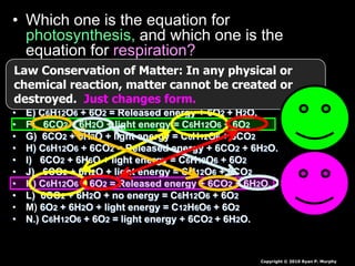 • Which one is the equation for
photosynthesis, and which one is the
equation for respiration?
• A) 6O2 + 6H2O + light energy = C12H6O6 + 6O2
• B) C6H12O6 + O2 = Released energy + 6CO2 + 6H2O.
• C) 6CO2 + 6O2 + light energy = C6H12O6 + 6H2O
• D) 6CO2 + 12H2O + light energy = C6H12O6 + 6H2O
• E) C6H12O6 + 6O2 = Released energy + 6O2 + H2O.
• F) 6CO2 + 6H2O + light energy = C6H12O6 + 6O2
• G) 6CO2 + 6H2O + light energy = C6H12O6 + 6CO2
• H) C6H12O6 + 6CO2 = Released energy + 6CO2 + 6H2O.
• I) 6CO2 + 6H6O + light energy = C6H12O6 + 6O2
• J) 6CO2 + 6H2O + light energy = CH12O6 + 6CO2
• K) C6H12O6 + 6O2 = Released energy + 6CO2 + 6H2O.
• L) 6CO2 + 6H2O + no energy = C6H12O6 + 6O2
• M) 6O2 + 6H2O + light energy = C12H6O6 + 6O2
• N.) C6H12O6 + 6O2 = light energy + 6CO2 + 6H2O.
Copyright © 2010 Ryan P. Murphy
Law Conservation of Matter: In any physical or
chemical reaction, matter cannot be created or
destroyed. Just changes form.
 