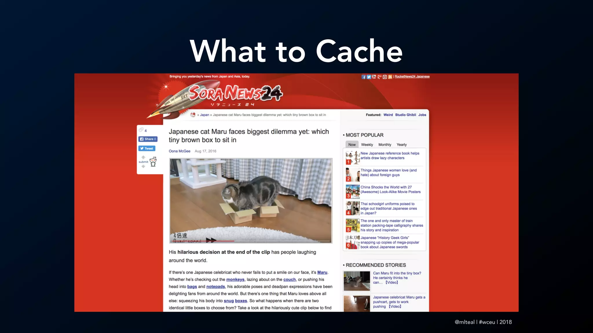@mlteal | #wceu | 2018
What to Cache
 