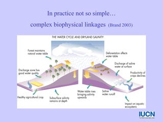 In practice not so simple…
complex biophysical linkages (Brand 2003)
 
