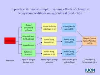 In practice still not so simple…valuing effects of change in
ecosystem conditions on agricultural production
Impact on ecological
function & service
Physical impact of change
in functions
Socio-economic effects
of physical impact
Overall impact of
Socio-economic effects
Intervention
Reduction in water:
floods & drought
Increased erosion
Increase in crop
damage (in kg)
Decrease in crop
yield (in US$)
Increase use fertiliser
& pesticides (in kg)
Increase production
costs (in US$)
Increase in crop
production (in kg)
Increase in crop
yield (in US$)
Reduction of
forest cover
Reduced
pest-control &
pollination
Deforestation
Change in Economic
Value of Agriculture
(in US$)
Impact on ecological
function & service
Physical impact of change
in functions
Socio-economic effects
of physical impact
Overall impact of
Socio-economic effects
Intervention
Reduction in water:
floods & drought
Increased erosion
Increase in crop
damage (in kg)
Decrease in crop
yield (in US$)
Increase use fertiliser
& pesticides (in kg)
Increase production
costs (in US$)
Increase in crop
production (in kg)
Increase in crop
yield (in US$)
Reduction of
forest cover
Reduced
pest-control &
pollination
Deforestation
Change in Economic
Value of Agriculture
(in US$)
 
