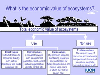 What is the economic value of ecosystems?
Direct values
Outputs that can be
consumed directly,
such as fish,
medicines, wild foods,
recreation, etc.
Indirect values
Ecological services,
such as catchment
protection, flood control,
carbon sequestration,
climatic control, etc.
Option values
The premium placed on
maintaining resources
and landscapes for
future possible direct and
indirect uses, some
of which may not be
known now.
Existence values
The intrinsic value of
resources and landscapes,
irrespective of its use such
as cultural, aesthetic,
bequest significance, etc.
Non useUse
Total economic value of ecosystems
 