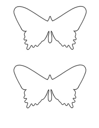 Balancing butterflies picture