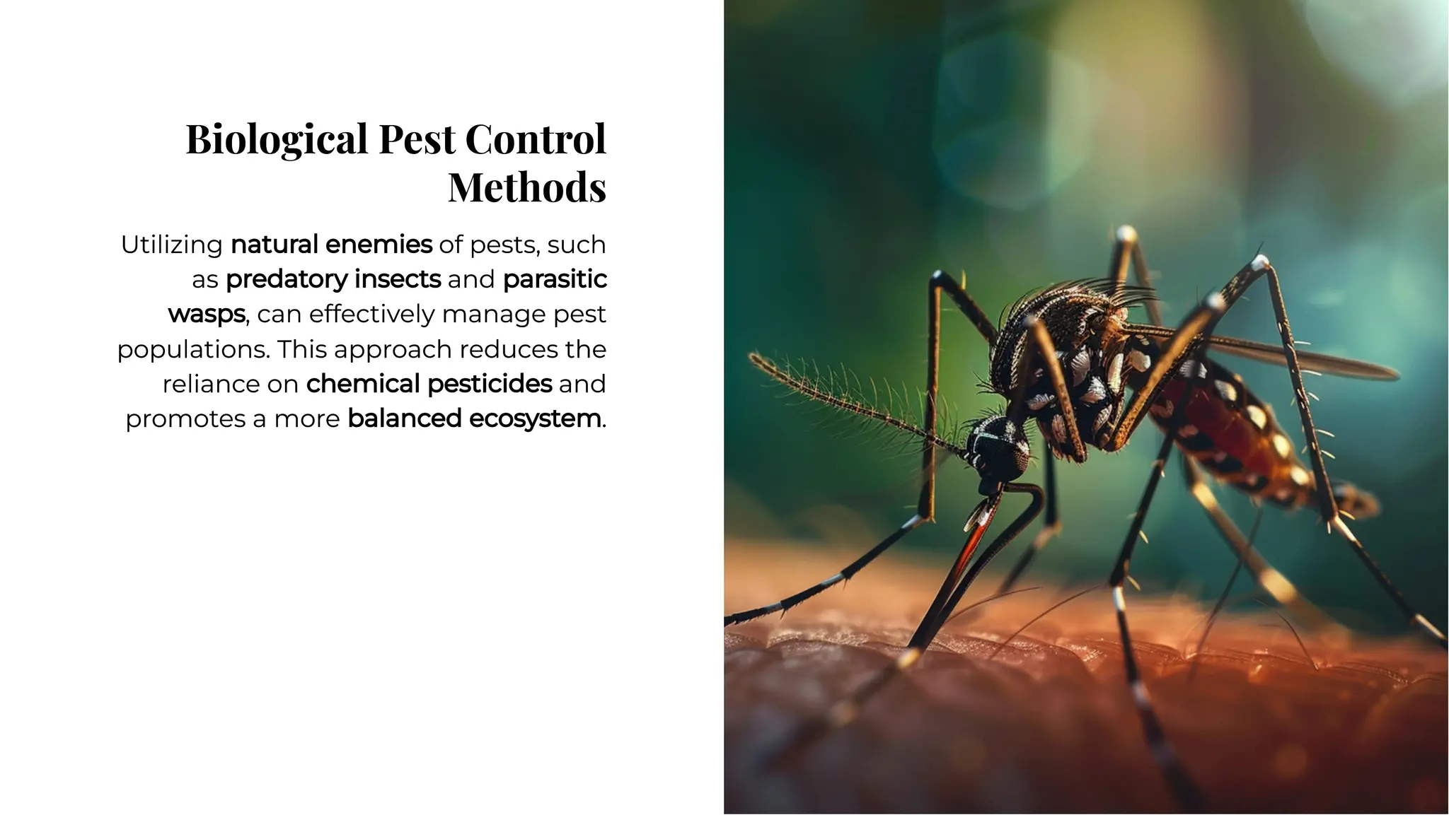 Balancing Pest Control with Biodiversity Conservation.pdf