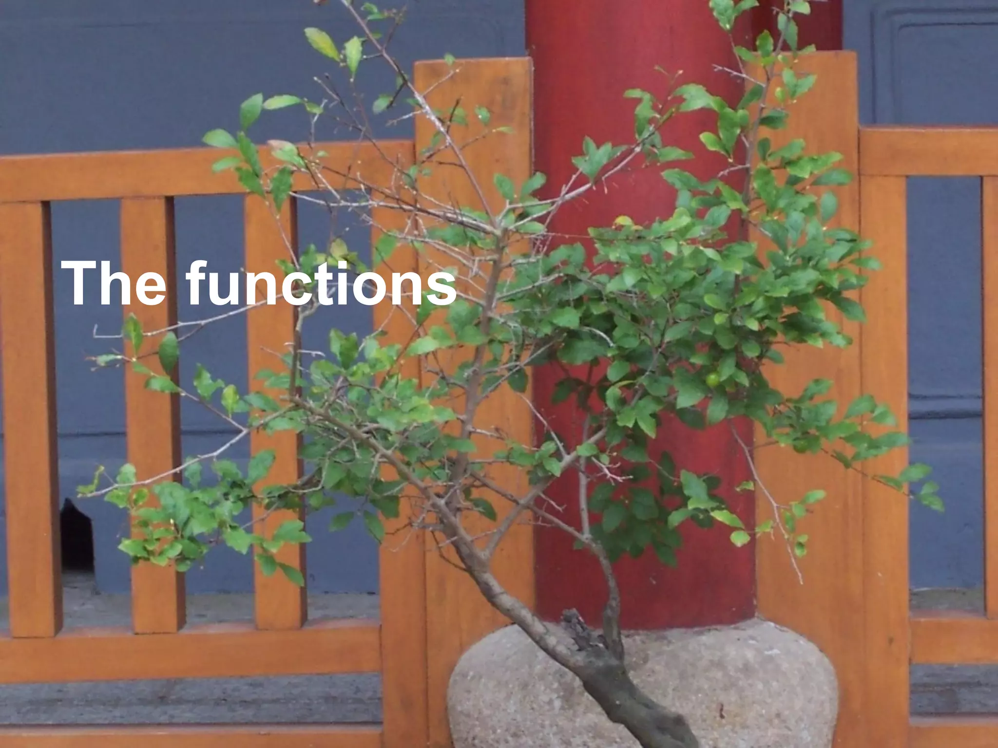 The functions
 