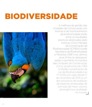 22
BIODIVERSIDADE
A melhoria da gestão das
Unidades de Conservação nos
biomas e do monitoramento
da biodiversidade estão
entre os resultados
positivos alcançados pelo
Instituto Chico Mendes
da Conservação da
Biodiversidade (ICMBio) e pela
Secretaria de Biodiversidade
e Florestas (SBF) nos últimos
anos. Entre os destaques
estão: o aumento no número
das Unidades de Conservação
(UCs), atualmente são 1.953
unidades; a publicação da
Lei da Biodiversidade (Lei
nº 13.123), em vigor desde 17
de novembro de 2015; e um
dos processos de avaliação
de espécies ameaçadas de
extinção de maior volume,
abrangência e qualidade
no mundo.
 