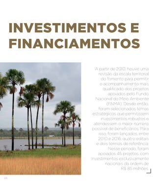 44
INVESTIMENTOS E
FINANCIAMENTOS
A partir de 2010, houve uma
revisão da escala territorial
do fomento para permitir
o acompanhamento mais
qualificado dos projetos
apoiados pelo Fundo
Nacional do Meio Ambiente
(FNMA). Desde então,
foram selecionados temas
estratégicos que permitissem
investimentos robustos e
atendessem o maior número
possível de beneficiários. Para
isso, foram lançados, entre
2010 e 2016, quatro editais
e dois termos de referência.
Nesse período, foram
apoiados 45 projetos, com
investimentos exclusivamente
nacionais da ordem de
R$ 85 milhões.
 