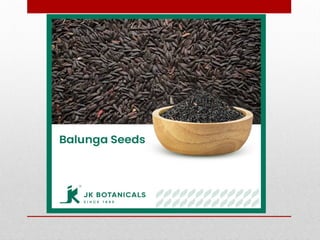 Production technology of Balango (Lallemantia royleana) | PPTX
