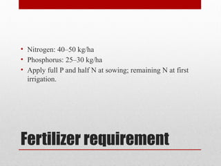 Production technology of Balango (Lallemantia royleana) | PPTX
