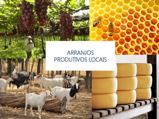 ARRANJOS
PRODUTIVOS LOCAIS
 