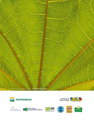 balanço social e ambiental 2006 | www.petrobras.com.br




                                                         SELO
                                                         PRÓ-EQÜIDADE
                                                         DE GÊNERO 2007
 