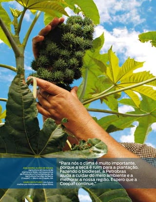 “Para nós o clima é muito importante,
     AnA MAriA Alves de souzA            porque a seca é ruim para a plantação.
                                        Fazendo o biodiesel, a Petrobras
          Agricultora em lavoura de
    mamona e feijão na Cooperativa

                                        ajuda a cuidar do meio ambiente e a
  de Produção e Comercialização da
       Agricultura Familiar da Bahia

                                         melhorar a nossa região. Espero que a
   (Coopaf) — Morro do Chapéu, BA


                                        Coopaf continue.”
     visão de futuro: Um futuro
melhor pra mim e para os meus filhos.
 