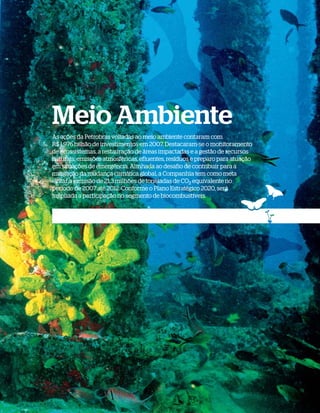 Meio Ambiente
              As ações da Petrobras voltadas ao meio ambiente contaram com
              R$ 1,976 bilhão de investimentos em 2007. Destacaram-se o monitoramento
              de ecossistemas, a restauração de áreas impactadas e a gestão de recursos
              naturais, emissões atmosféricas, efluentes, resíduos e preparo para atuação
              em situações de emergência. Alinhada ao desafio de contribuir para a
              mitigação da mudança climática global, a Companhia tem como meta
              evitar a emissão de 21,3 milhões de toneladas de CO2 equivalente no
              período de 2007 até 2012. Conforme o Plano Estratégico 2020, será
              ampliada a participação no segmento de biocombustíveis.




WWW.PETROBRAS.COM.BR   |   BALANÇO SOCIAL E AMBIENTAL 2007                                  67
 