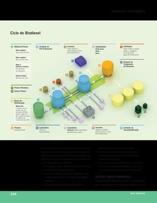 energias renovÁveis




Ciclo do Biodiesel


1 Matérias-Primas            2 Unidade de                   3 Insumos                           4 Subprodutos                        5 Utilidades
                               Pré-Tratamento                  Ácido fosfórico,                   Ácido graxo                          Vapor d'água, energia
     Óleos vegetais                                            soda cáustica, sílica,                                                  elétrica, nitrogênio,
                                                                                                  Goma
     Agricultura familiar                                      terra diatomácea                                                        ar comprimido,
                                                                                                  Borra
                                                                                                                                       água de resfriamento
     Óleos vegetais
     Mercado de óleos
                                                                      10
                                                                                                                                     6 Estação de
     Óleos e                                                                                                                           Tratamento
                                                                                                        11                             de Eﬂuentes
     gorduras residuais
     Cooperativas
     de catadores
                                                                                  7
     Gordura animal                                           8
     Mercado de óleos

                                                 5


13 Postos Petrobras                              2
                                  3
14 Outros Postos

                                                                                                                        12

                              1
12 Bases de
   Distribuição
                                                                                                                 9
     Mistura B3
     O diesel comum
     recebe 3% de
     biodiesel (B100),                                                                                                                                              14
     dando origem ao
     B3. A partir de julho                                                                                                                                13
     de 2009 será                                                                               6
     substituído pelo B4.                                         4




11 Produto                   10 Laboratório                 9 Coprodutos                        8 Insumos                            7 Unidade de
   Biodiesel B100               Testes de                     Glicerina: Aditivo para diesel,       Metanol, metilato,                 Transesteriﬁcação
                                especificações                gliceroquímica, outros                ácido clorídrico, sílica,
                                                                                                    terra diatomácea




                                   priorizando o semi-árido brasileiro e o suprimento de                 biodiversidade e aos recursos naturais;
                                   matéria-prima advinda da agricultura familiar. A Pe-             ›    evitar o avanço da produção de oleaginosas
                                   trobras conta com uma rede de 55 mil agricultores, que                em áreas de conservação de biodiversidade e
                                   produzem parte das oleaginosas utilizadas em suas                     ecossistemas sensíveis;
                                   usinas para produção de biodiesel.                               ›    eliminar práticas inaceitáveis, como a utilização
                                       Para superar alguns desafios inerentes às ativida-                de mão-de-obra em regime análogo à escravidão
                                   des no segmento, a companhia busca:                                   na produção das matérias-primas, entre outras.
                                   › priorizar matérias-primas não-alimentícias, para
                                       evitar a competição com alimentos e os reflexos              outras fontes renovÁveis
                                       nos preços;                                                  Faz parte da estratégia da Petrobras no segmento de
                                   › evitar monoculturas, trazendo benefícios à                     gás e energia investir em geração de energia elétrica a



104                                                                                                                                             m e i o a m b i e nx o
                                                                                                                                                                ei te
 